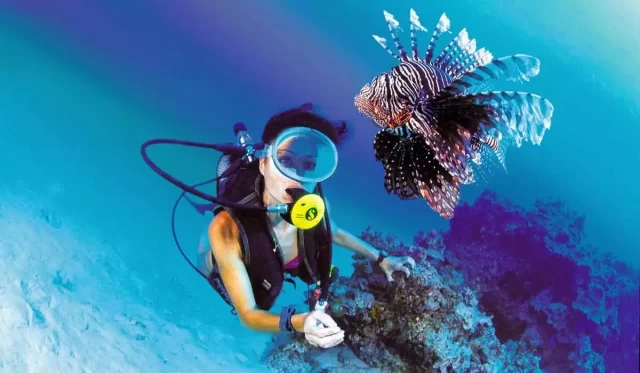 Diving Deeb Tours