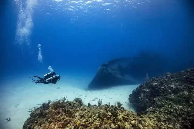 CORAL Garden ( Коралловый сад) + погружение Deep Tours